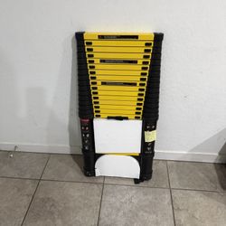 Heavy Duty Ladder - Telescopic Model - L168 - 16.5 feet  