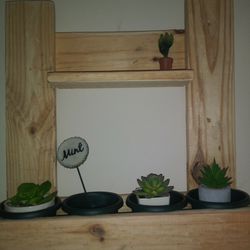 Mini Herb or Cacti Planter-Wooden