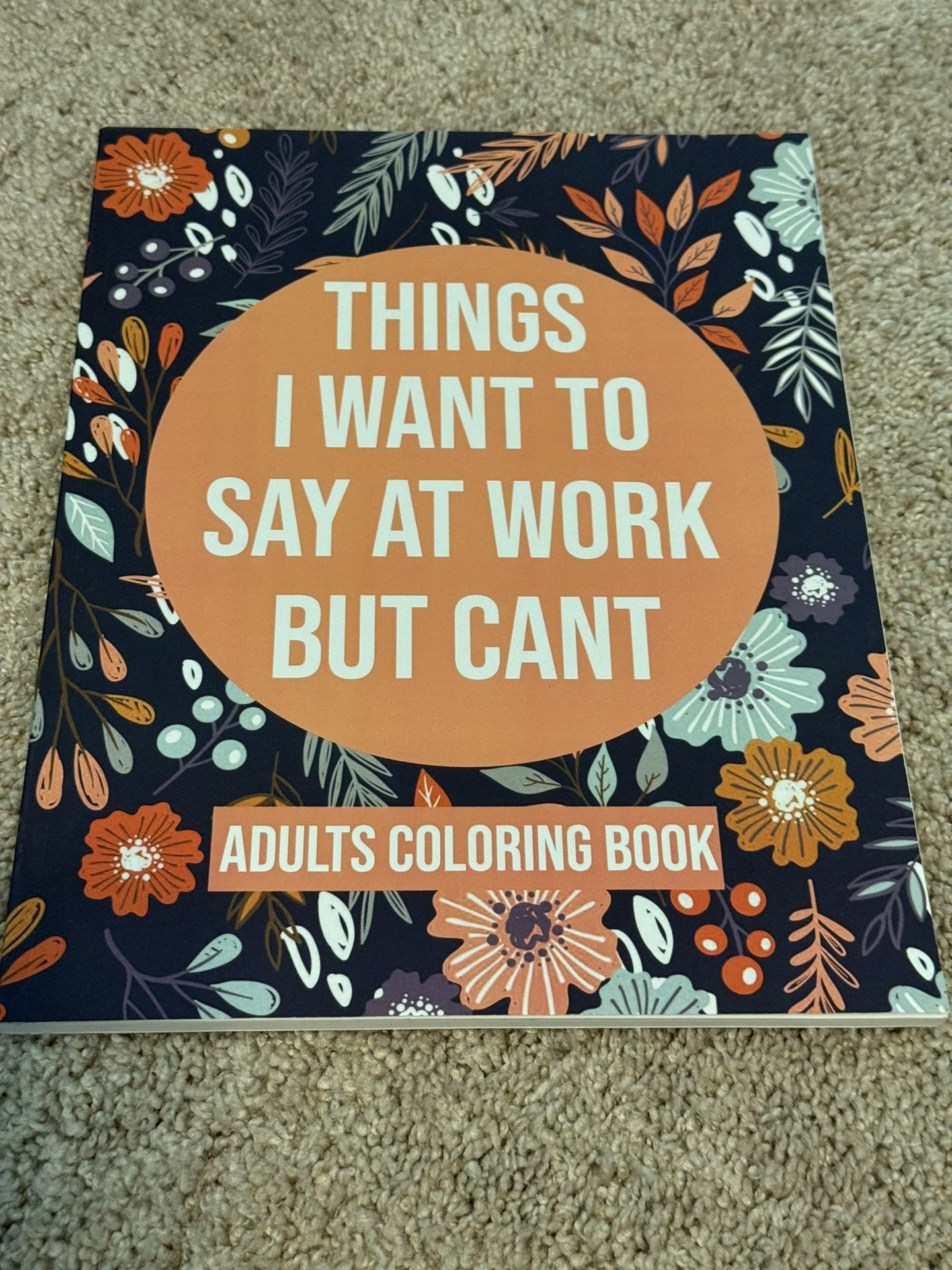 Things I Want To Say At Work But Can’t Coloring Book