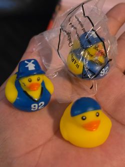 Dutch bro ducks