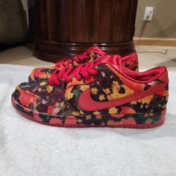 Size 13 - Nike The Wizard of Oz x Dunk SB Low Poppy Field FZ1291-600 NEW without Box