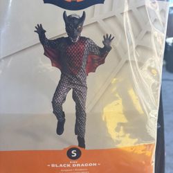 Halloween Costume 