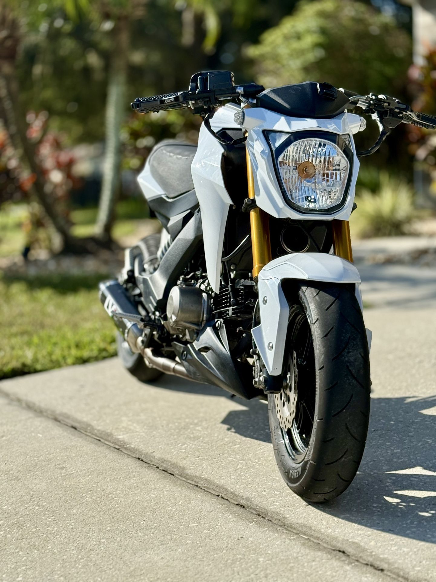 2020 Kawasaki Z125Pro