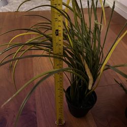 Artificial Potted Plant by ikea —Planta en maceta artificial de ikea