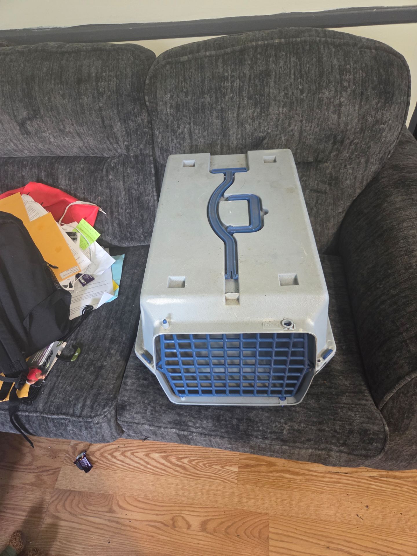 Cat carrier