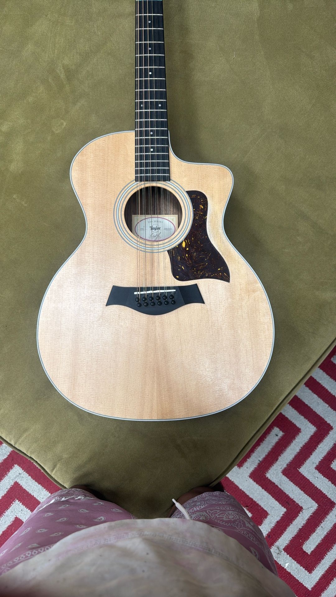 Taylor 12 String 200 Series