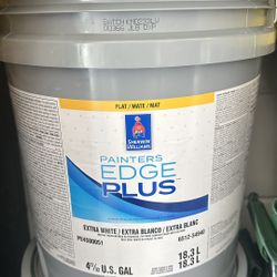 Pintura Flash Color Blanco