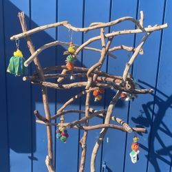 African Grey - Amazon Parrot Perch Tree… Hard Durable Ribbon Wood 🪵, Lasts For Years ! Loved By Birdees ❤️💯