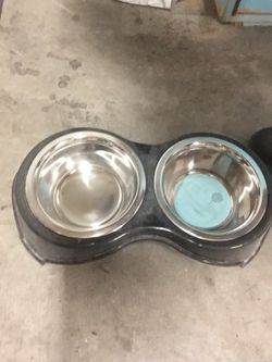 Dog bowl