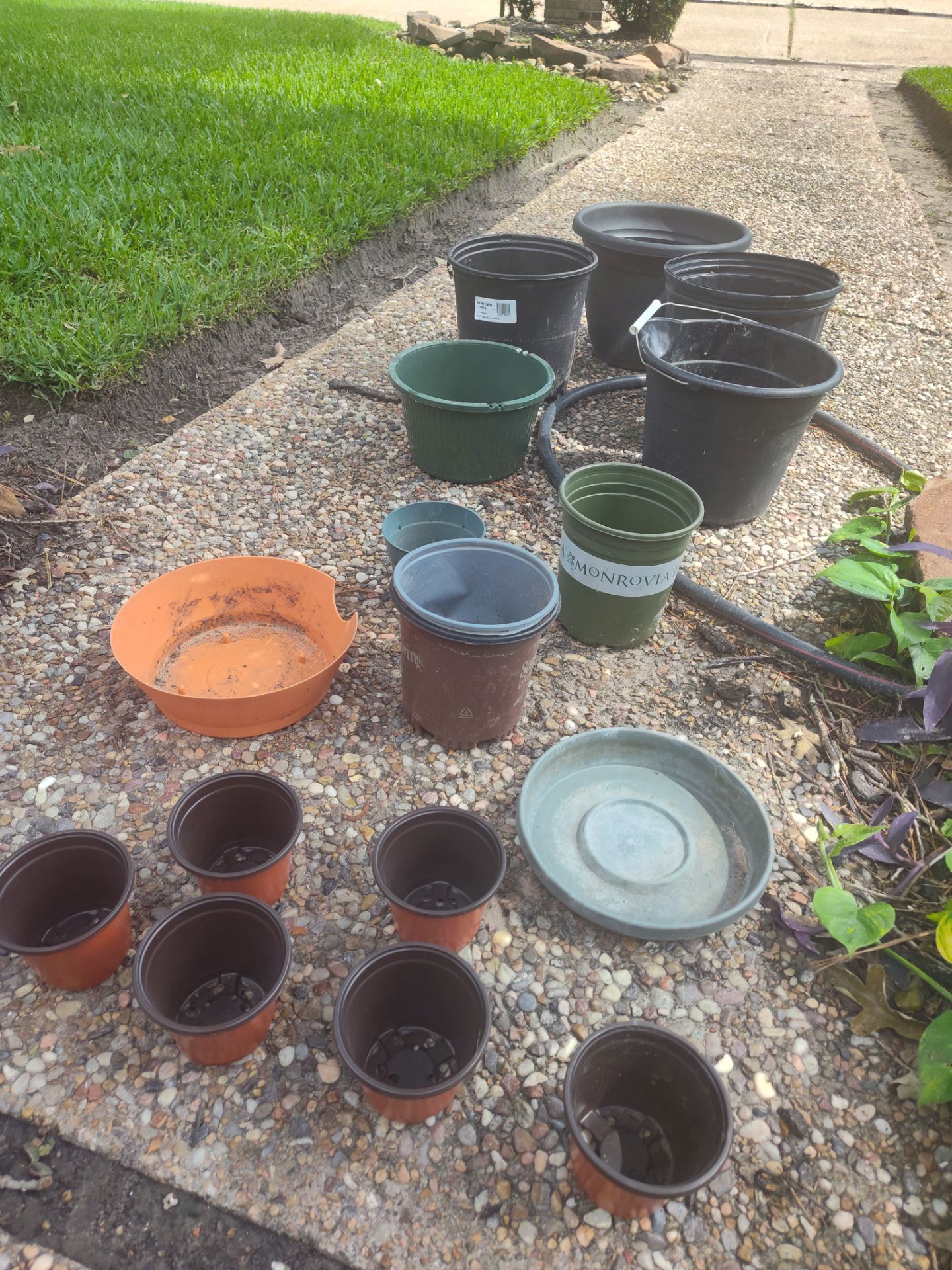 Plant pots lot only 5$ All together macetero DESPONIBLE