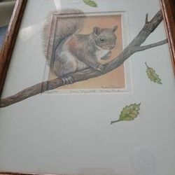 Squirrel drawing, framed artwork
