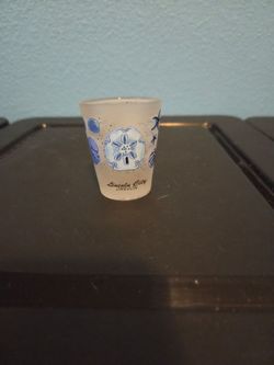 Lincoln City Oregon Frosted Shot Glass – Seashell & Sand Dollar Coastal Souvenir