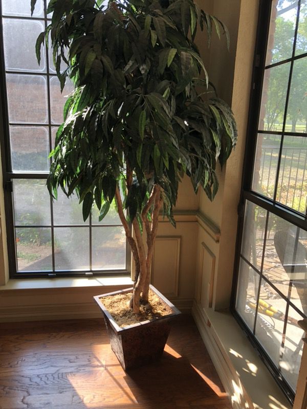 Fake Tree plant - Synthetic Ficus tree