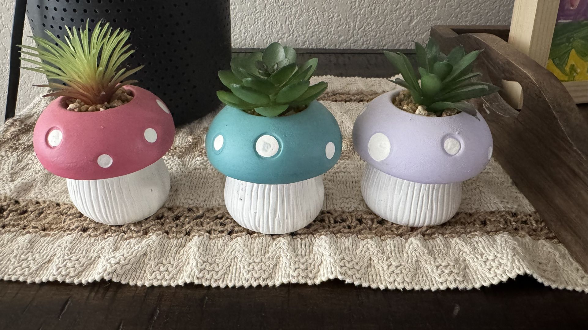 3 Small Succulent Plants In Mushroom Pots