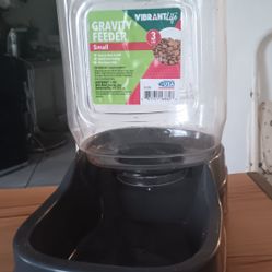 Vibrant Gravity Pet Feeder