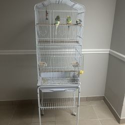 Bird Cage And Everything