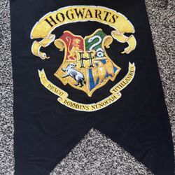Harry Potter Birthday Kit
