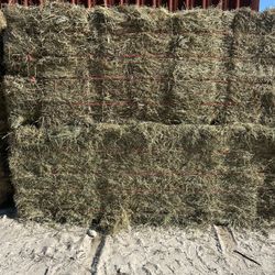 Mixed Grass 