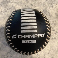 Softball Pitching Training Ball