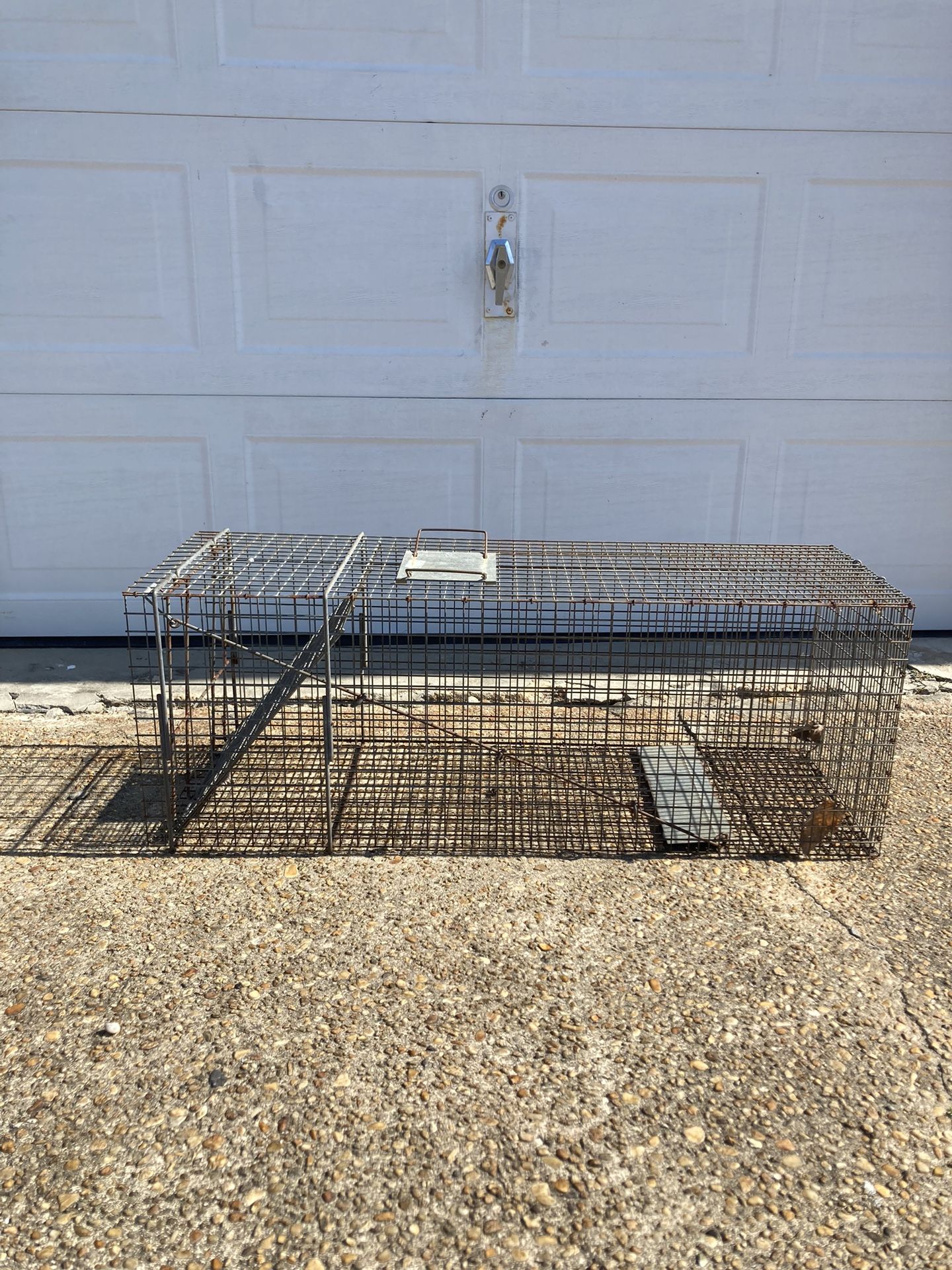 Have-a- Heart Animal Trap