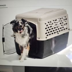 Dog Cage
