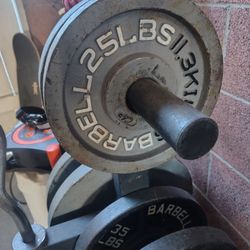 25lbs Olympic plates