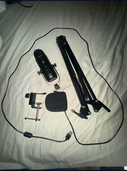 Haorumen Mic