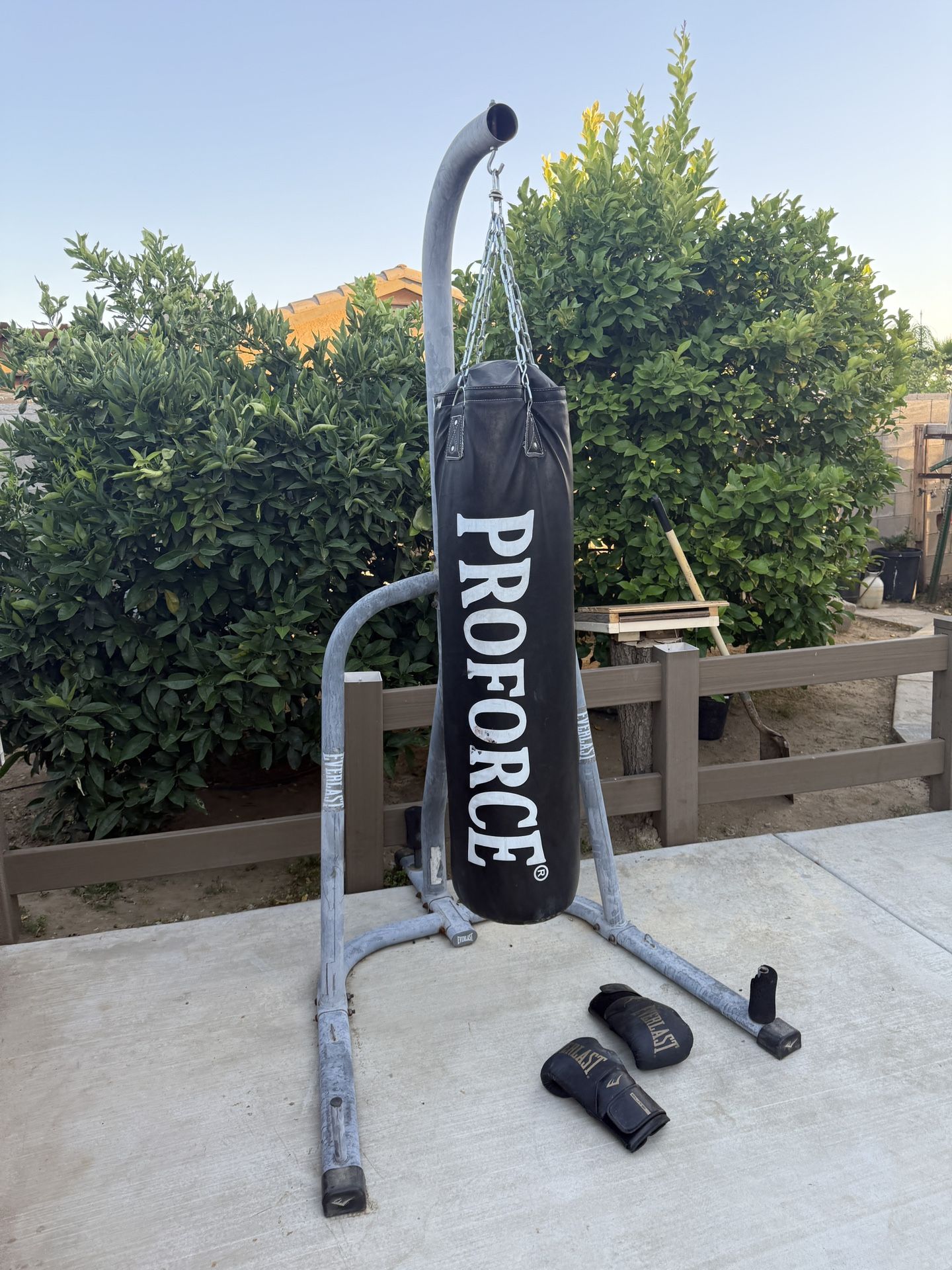 Everlast punching Bag