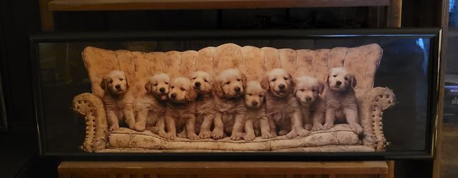 Golden Retriever puppies" framed picture