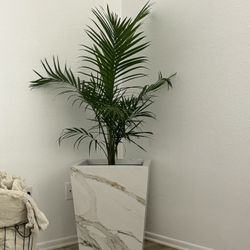 Flowerpot Of Quartz Custom!