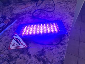 Blacklights