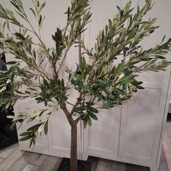 New In Box Realistic Olive TREE