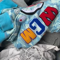 Light Blue Bape Hoodie