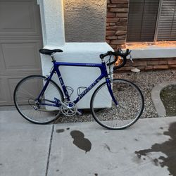 Trek 5200 Carbon Road Bike