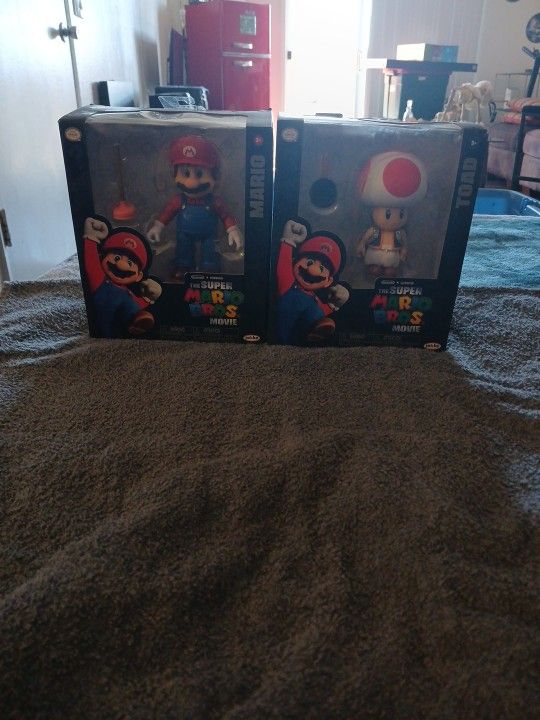 The SUPER MARIO BROS. MOVIE 