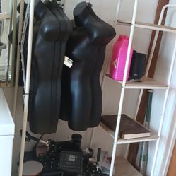 Shelf
