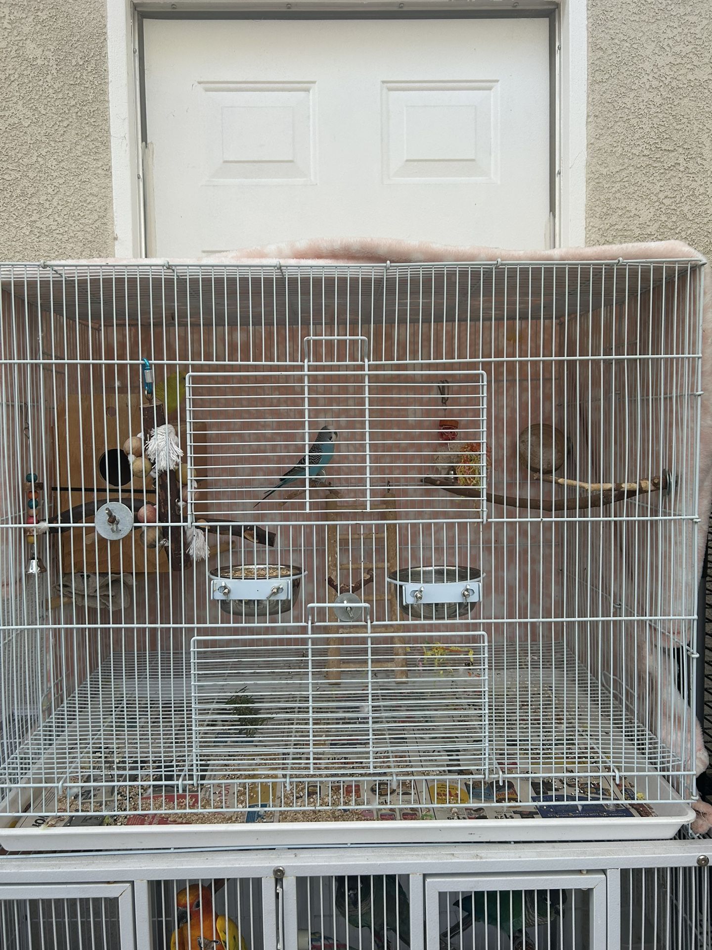 Parakeet Bird Cage 