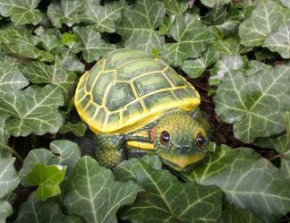 Turtle Statue