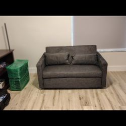 Sleeper Sofa (Brand new)