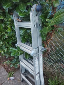 Little giant ladder