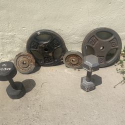 Workout Weights 