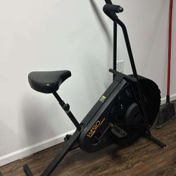 Weslo Elliptical-Style Exercise Bicycle
