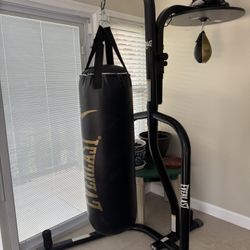 200 Lb Heavy Bag And SUV For Sale 