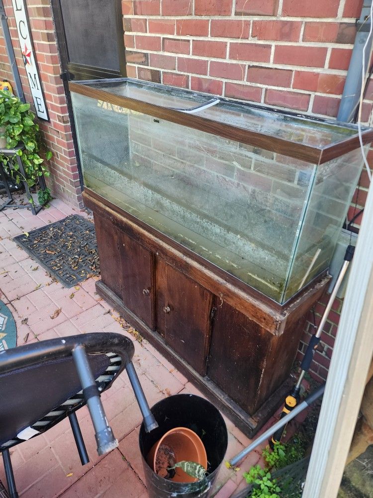 Fish Tank