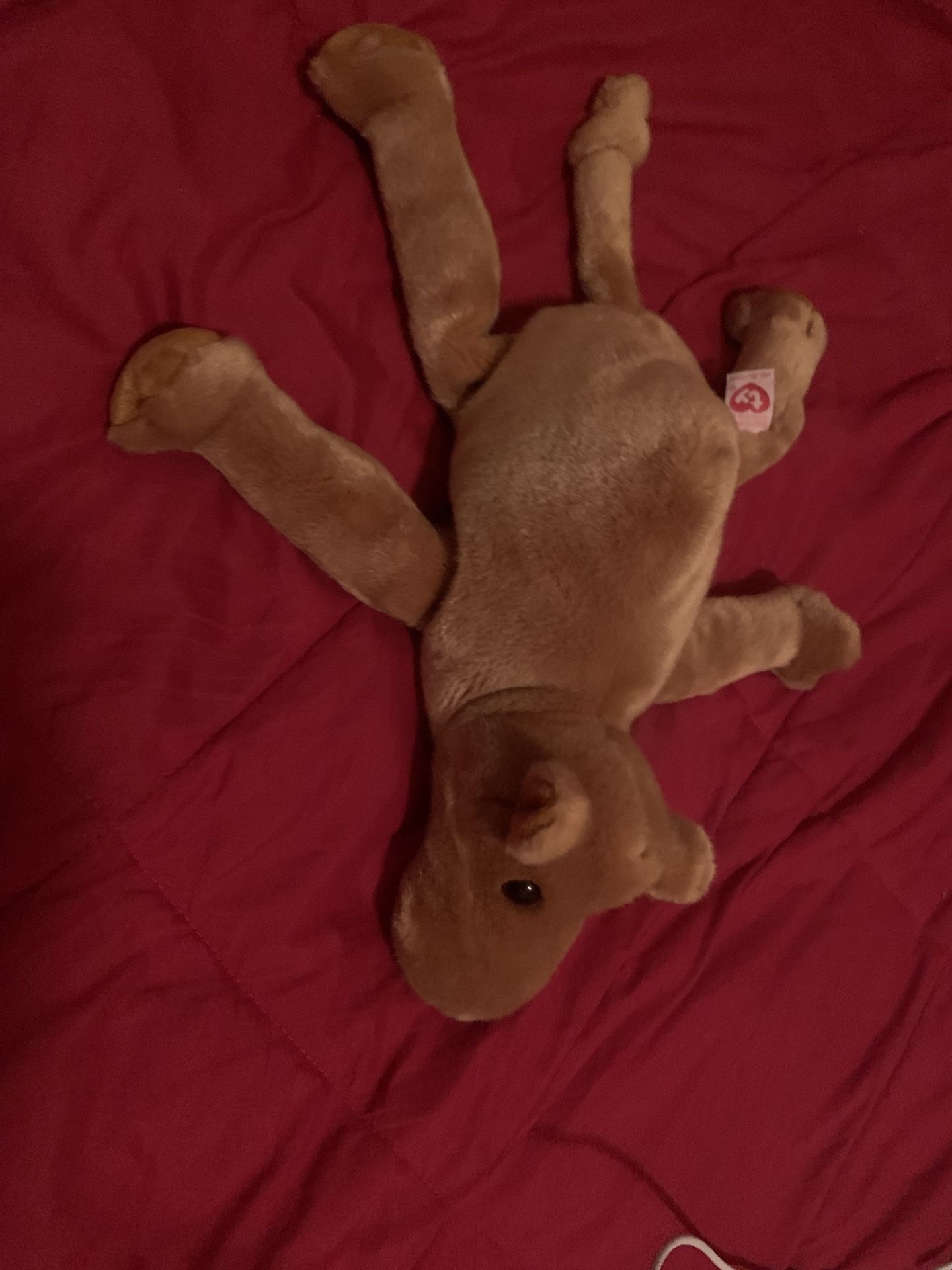 One brown plush toy #kidcore