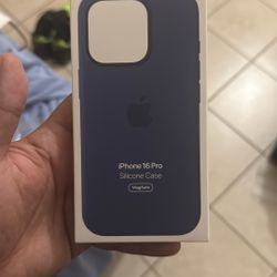 iPhone 16 Pro Apple Case 