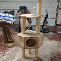 Cat Trees
