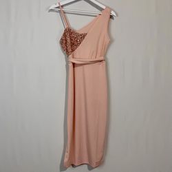 Women’s Sleeveless Bodycon Midi Sequin Velvet Detail Dress Pink Size Small NWOT