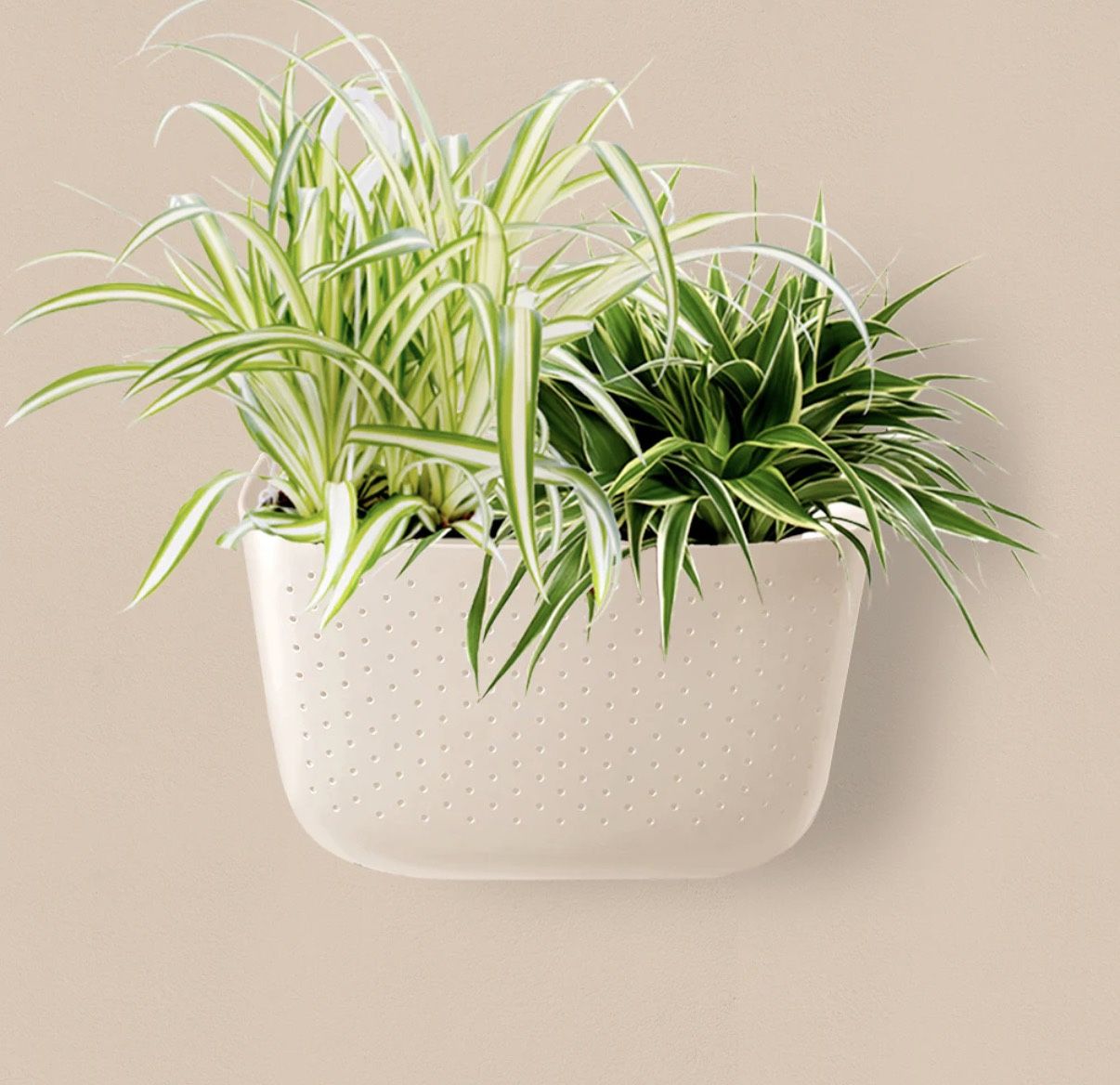Wall Planter - Self Watering (Wallygrow)