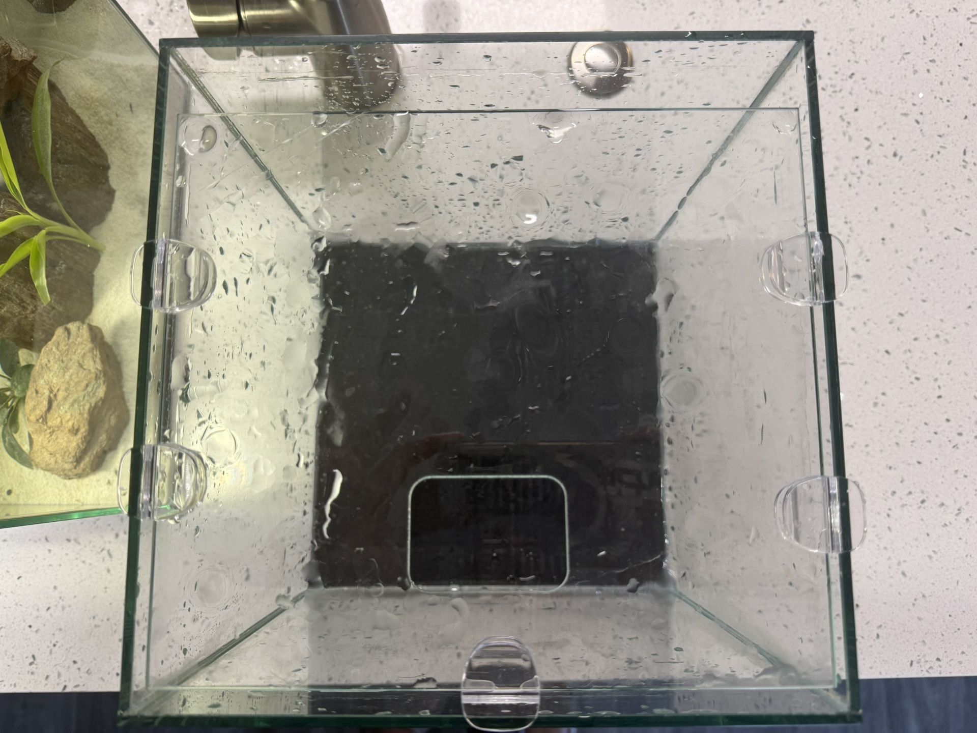 3 Gallon Fish Tank